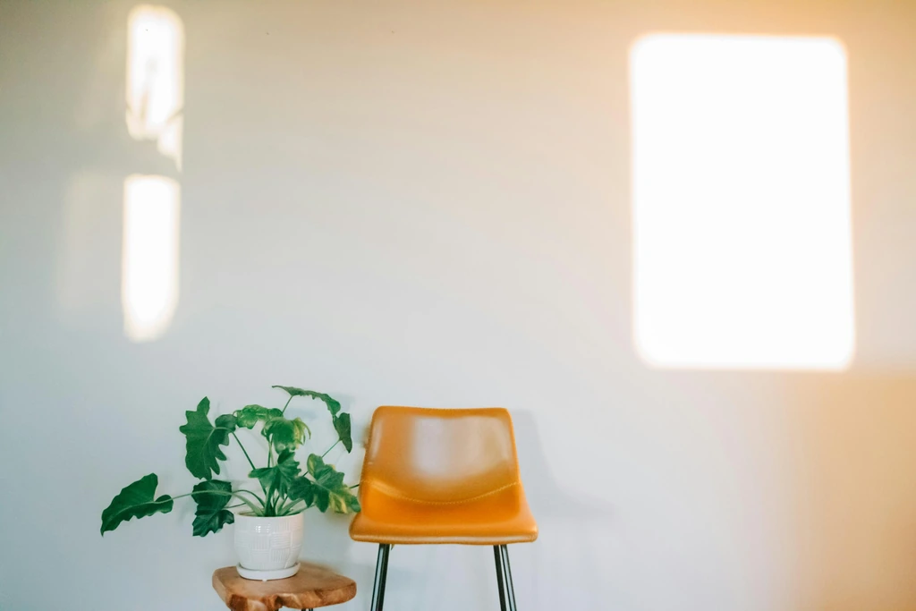 A quiet room with sunlight on a pale wall, a potted plant on a wooden stool and a tan leather chair.