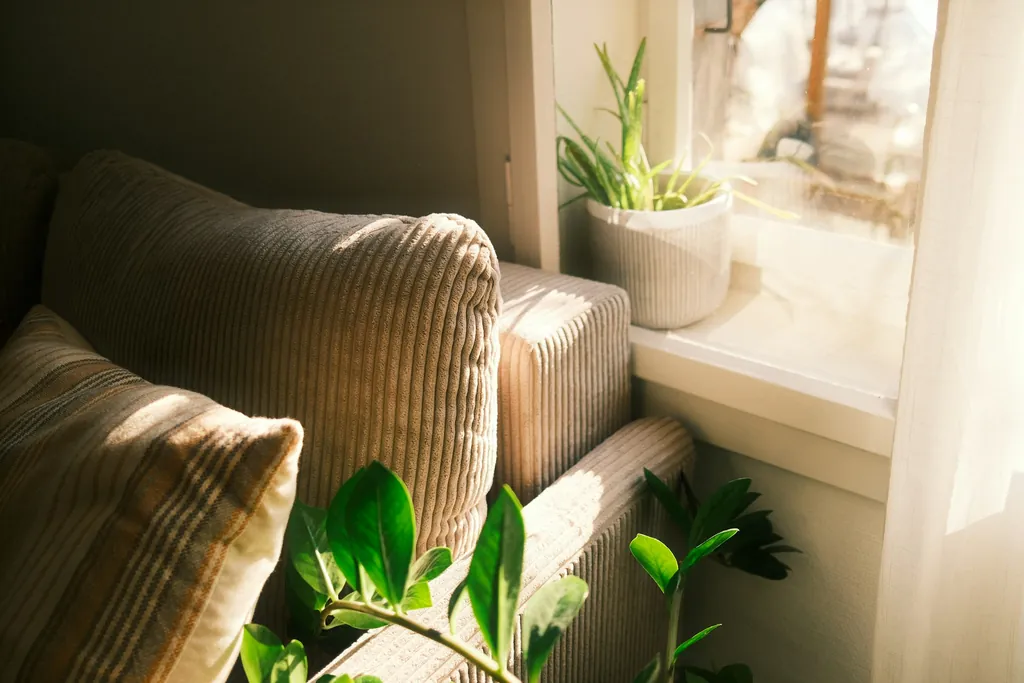 A sofa with soft cushions beside a sunlit window, with houseplants on the sill.