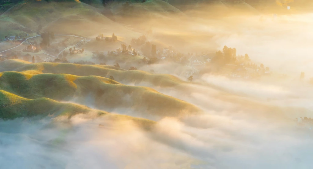 Rolling green hills in morning mist, lit by a low golden sun.